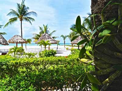 Puerto Front Holbox